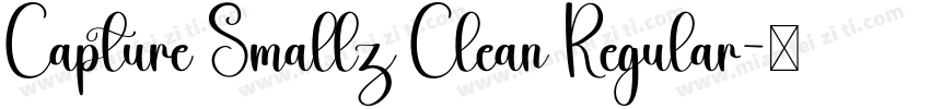 Capture Smallz Clean Regular字体转换